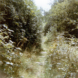 P10032