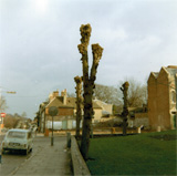 P10077