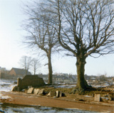 P10366